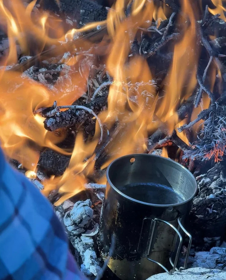 The Wildland Experience