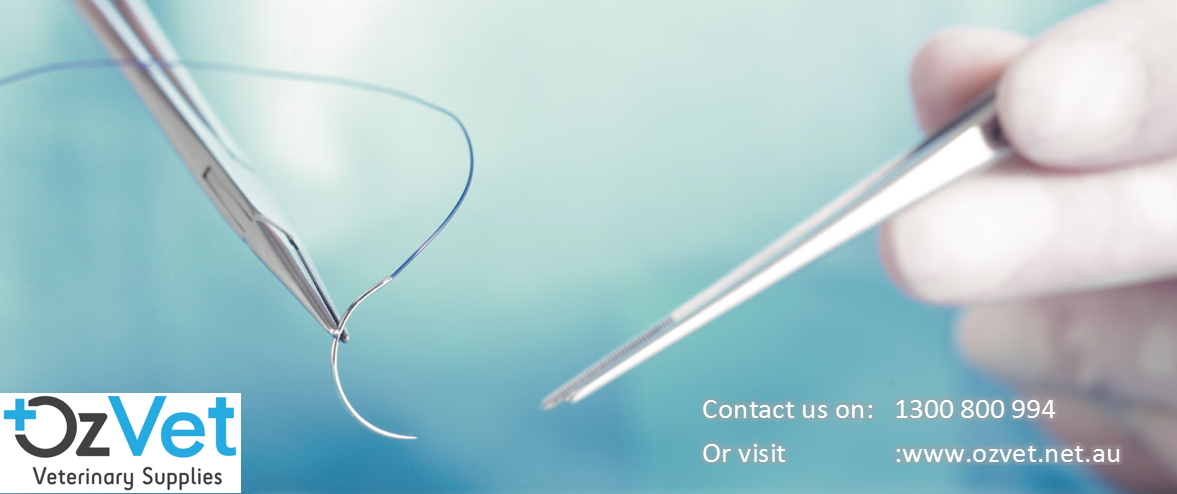 Ozvet Medical Supplies