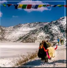 Naturewings Holidays Limited