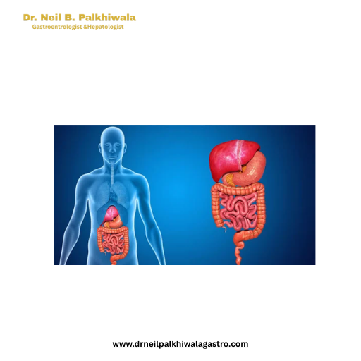 Dr. Neil B. Palkhiwala - Best Gastroenterologist in Ahmedabad