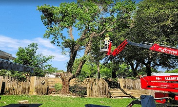 Tri-State Tree Service