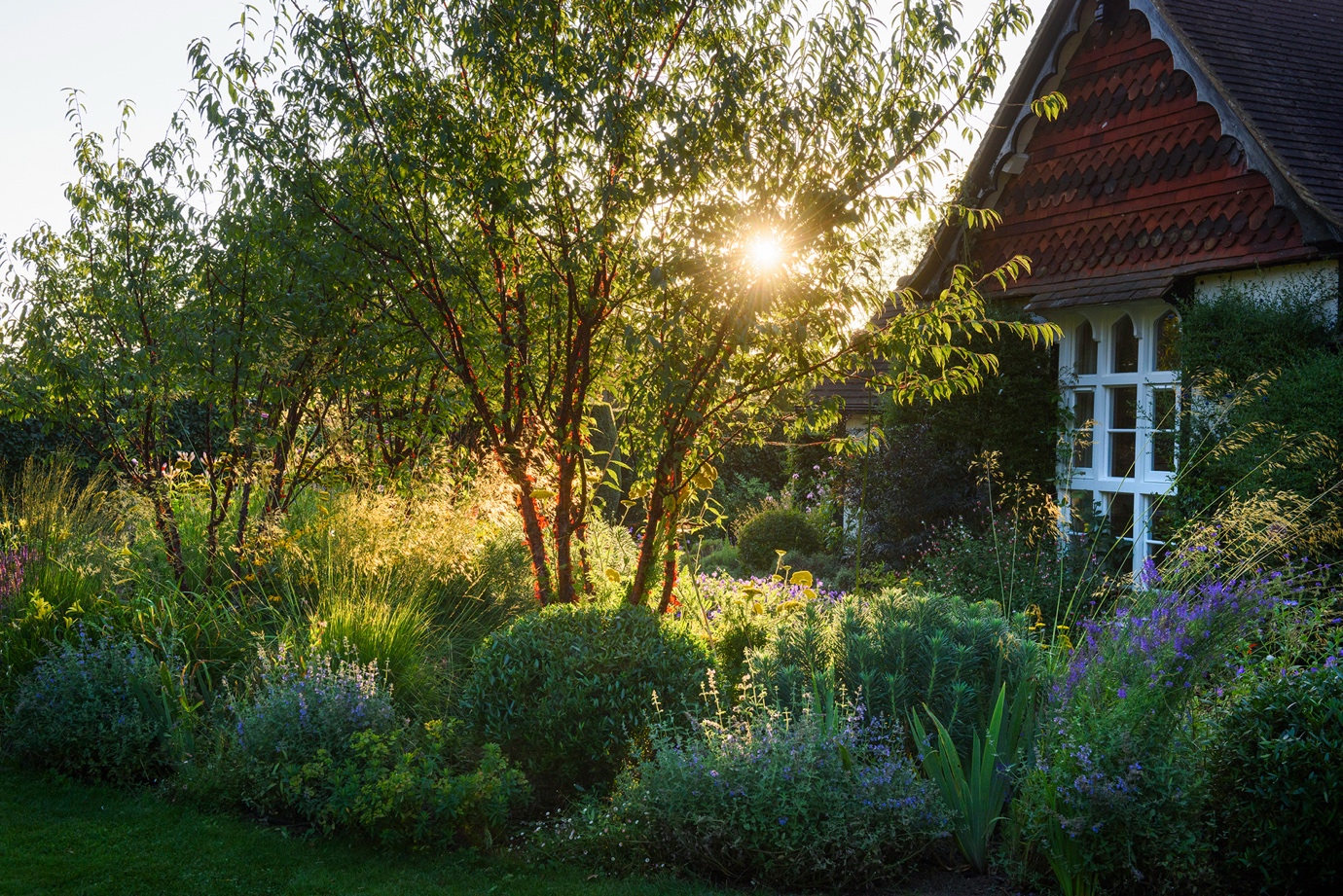 Matthew Childs Design - Garden & Landscape Design