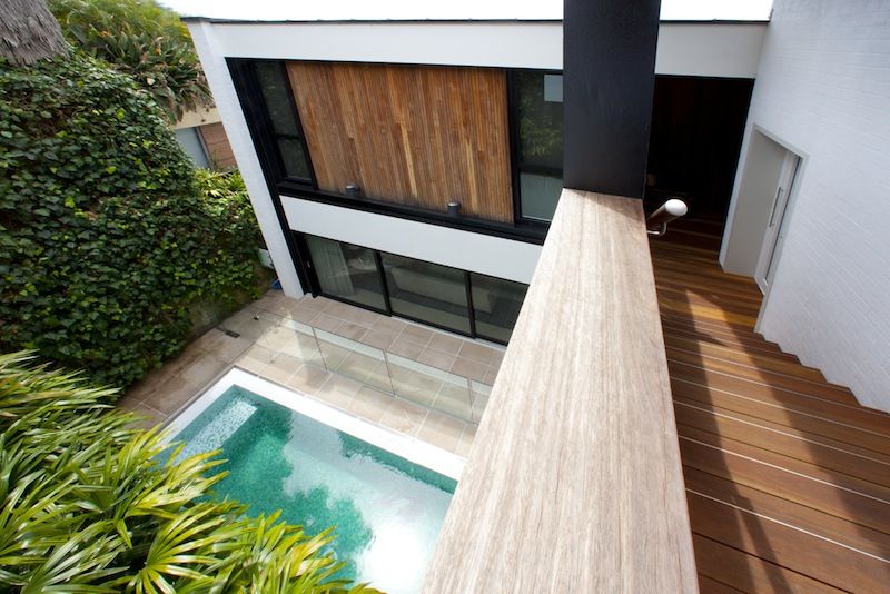 Popov Bass - Gallery 4