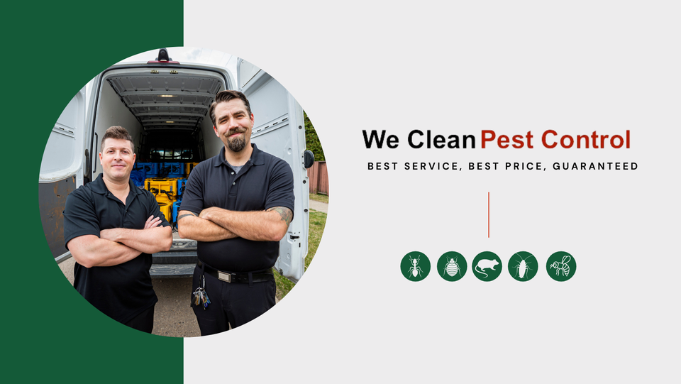 We Clean Pest Control - Gallery 1