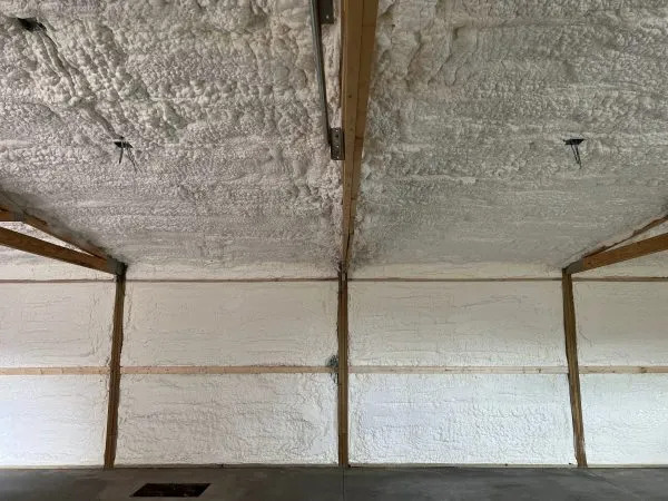 Advanced Seal - Gallery 1