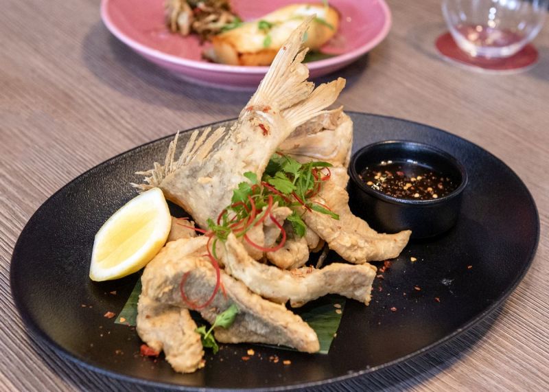 My Bella Asian - Gallery 6