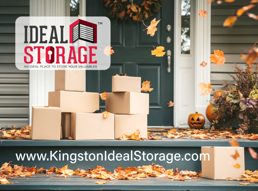 Ideal Storage - Gallery 1