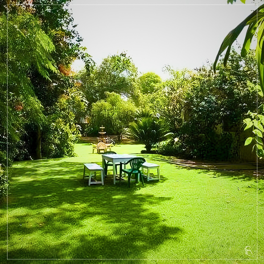 Rajasthan Travels Cab & Taxi Services - Gallery 3