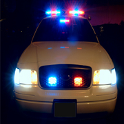 Bail Bonds By Angee - Gallery 2