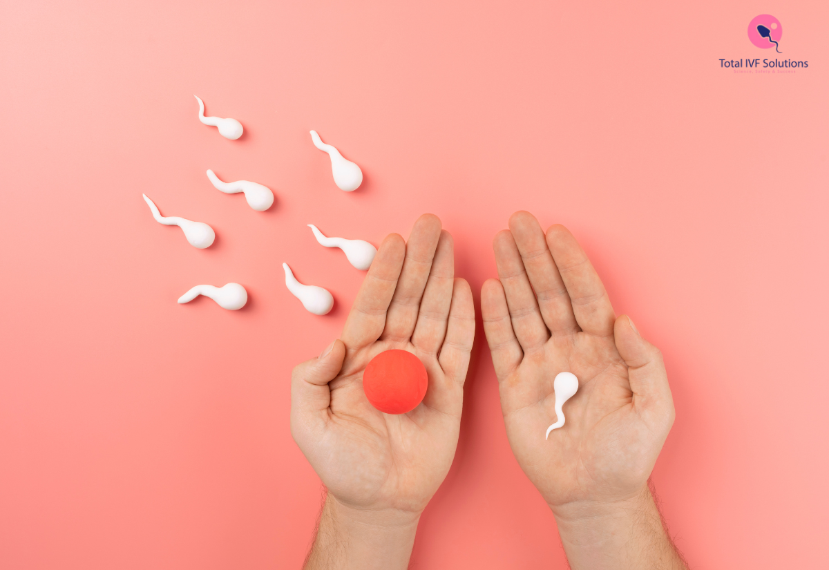 Sperm Donation Price in India - Gallery 1