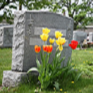 Donehoo-Lewis Funeral Home - Gallery 1