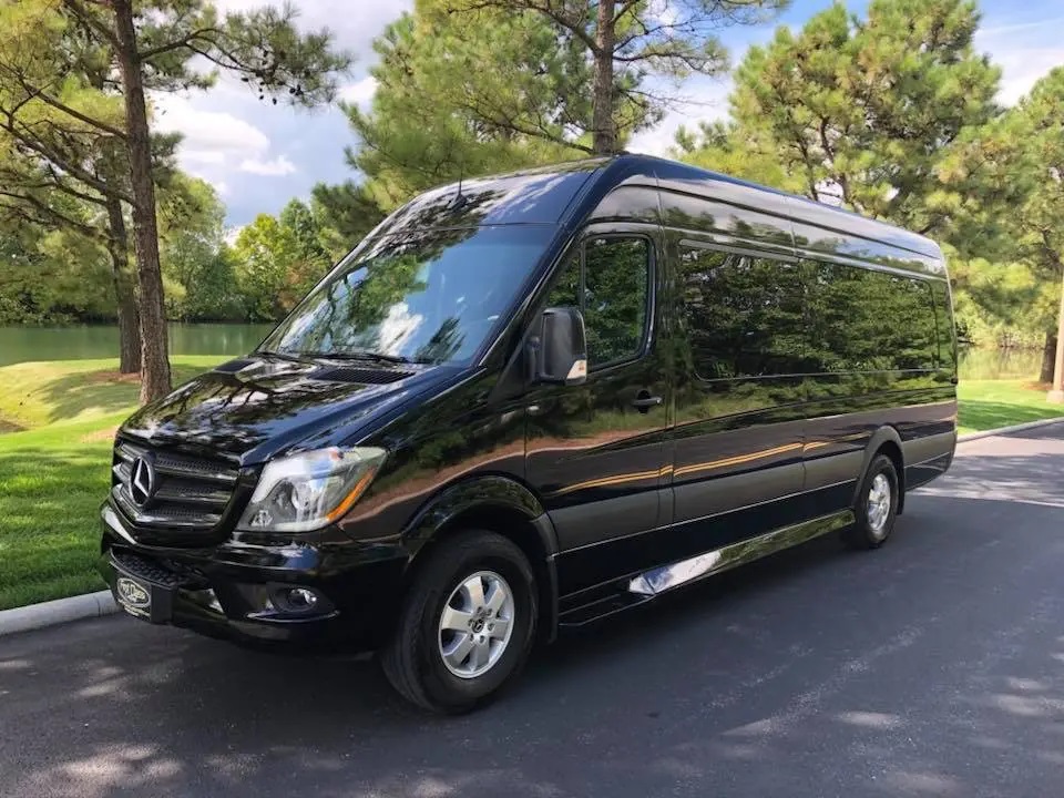 Deluxe Limousine & Transportation of Houston - Gallery 5