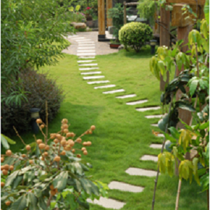 Affordable Landscape & Maintenance - Gallery 1
