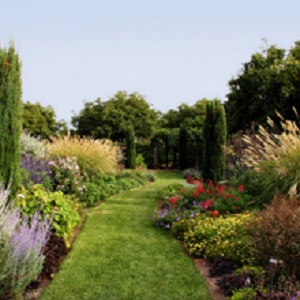 Affordable Landscape & Maintenance - Gallery 2