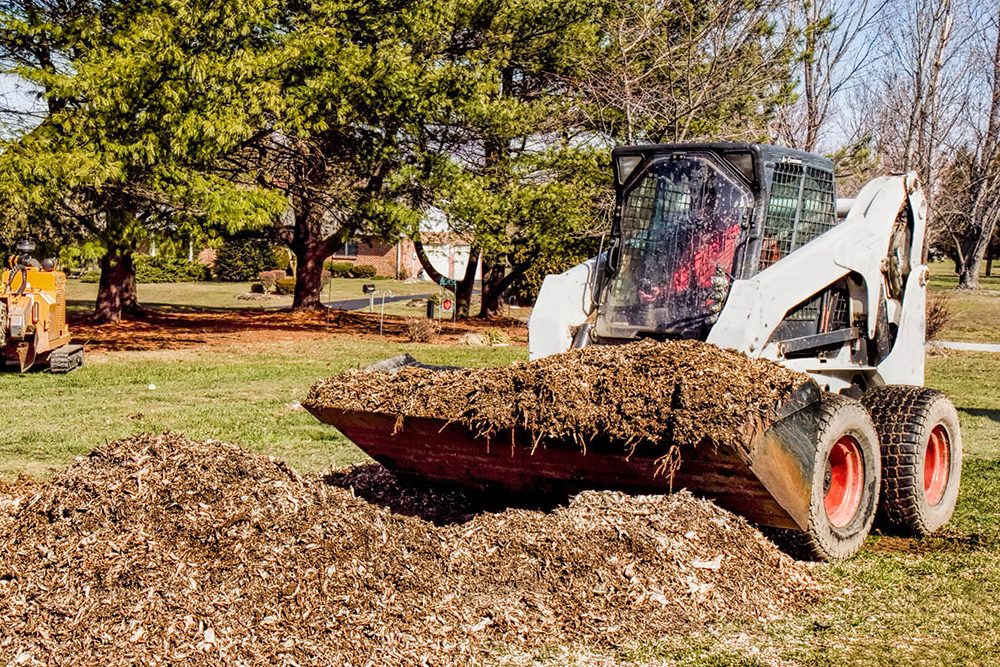 Kalispell Tree Care - Gallery 3