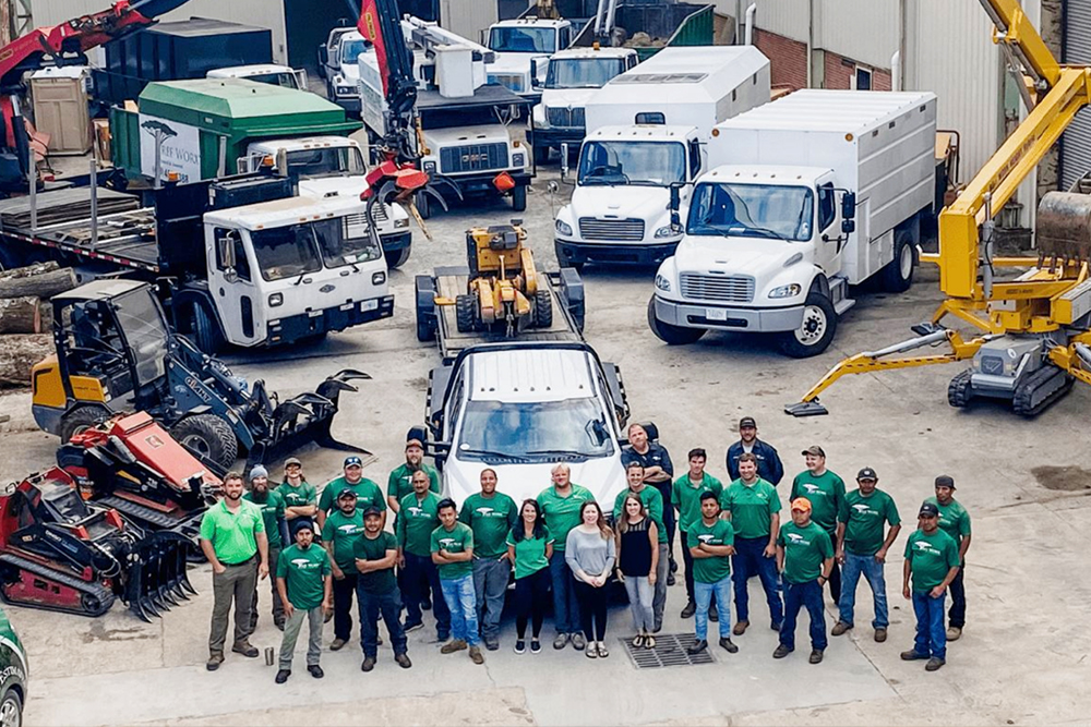 Tree Worx - Gallery 3