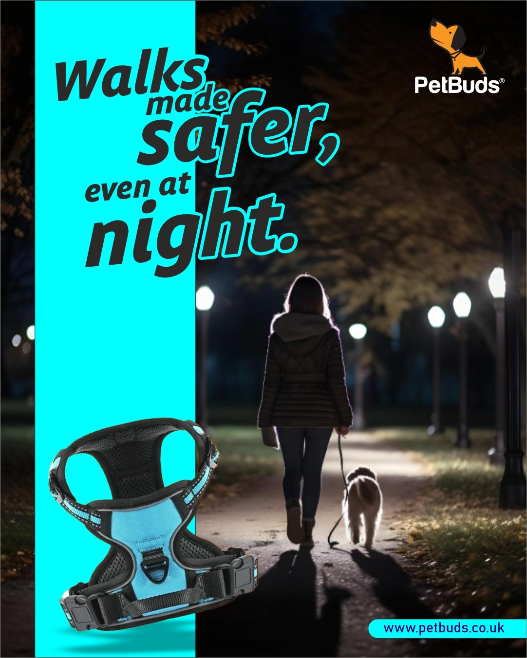 PetBudsUK - Gallery 4