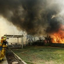 Down to Earth Land Clearing Solutions, Inc - Gallery 3