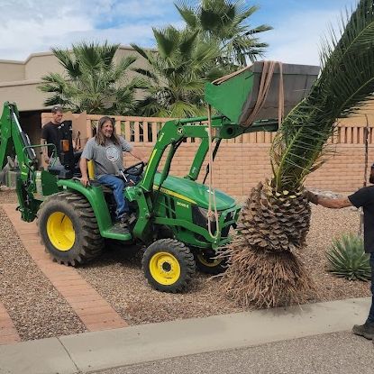 Monstrosity Tree Service LLC - Gallery 1