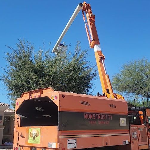 Monstrosity Tree Service LLC - Gallery 2