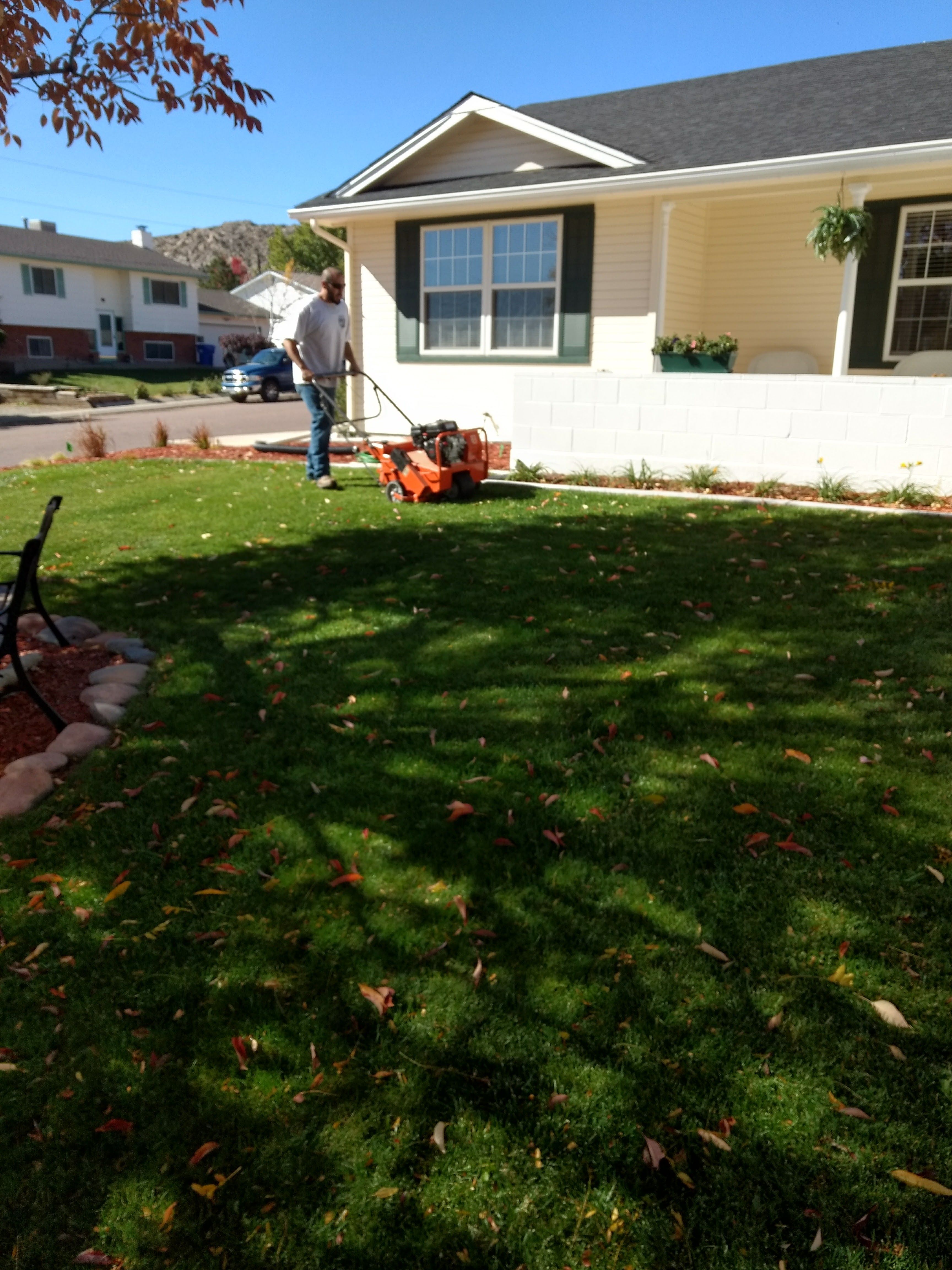 Complete Yard Service - Gallery 1