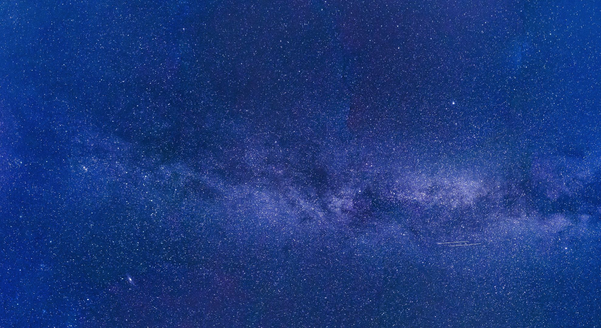 Profit Parrot Marketing - Gallery 1