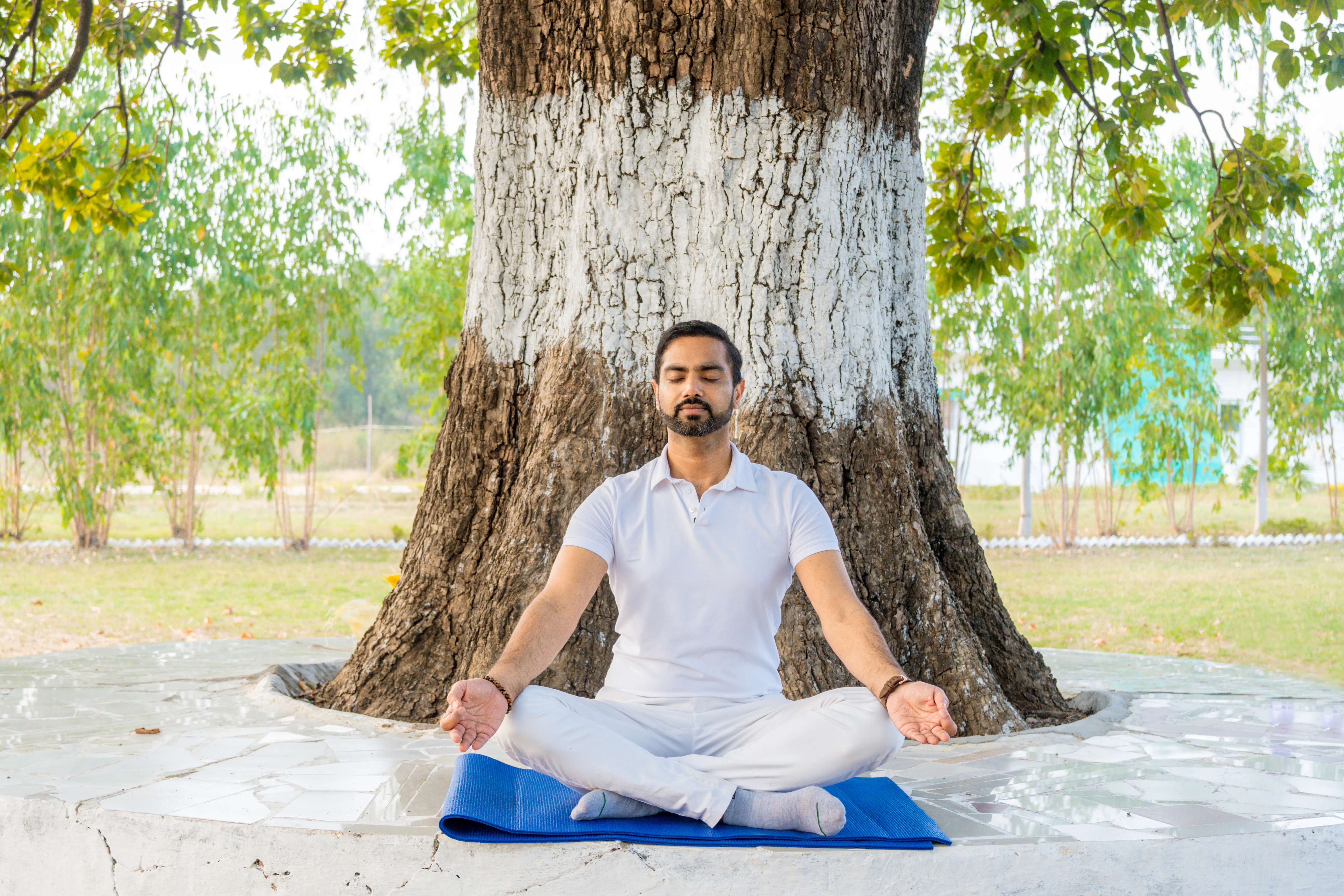 Arhanta Yoga Ashram - Gallery 5