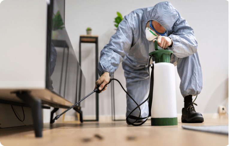 Premium Pest Control - Gallery 2