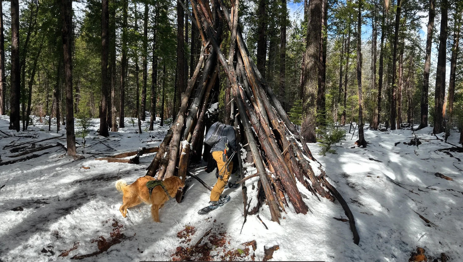 The Wildland Experience - Gallery 4