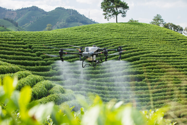 Service Drones - Gallery 1