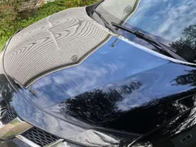 Papa Doc’s Mobile Detailing - Gallery 1