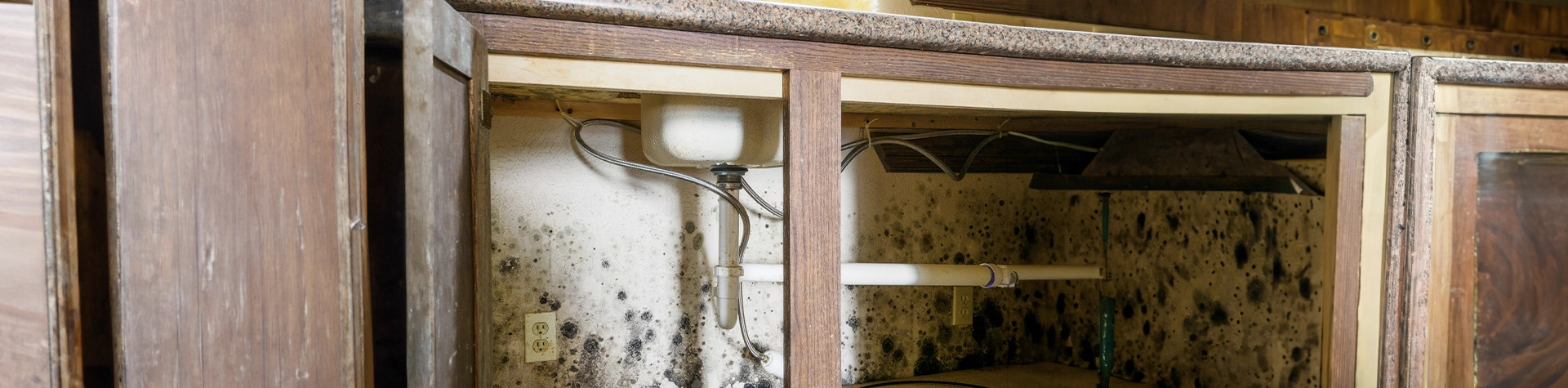 AdvantaClean of Metro New Orleans - Gallery 8