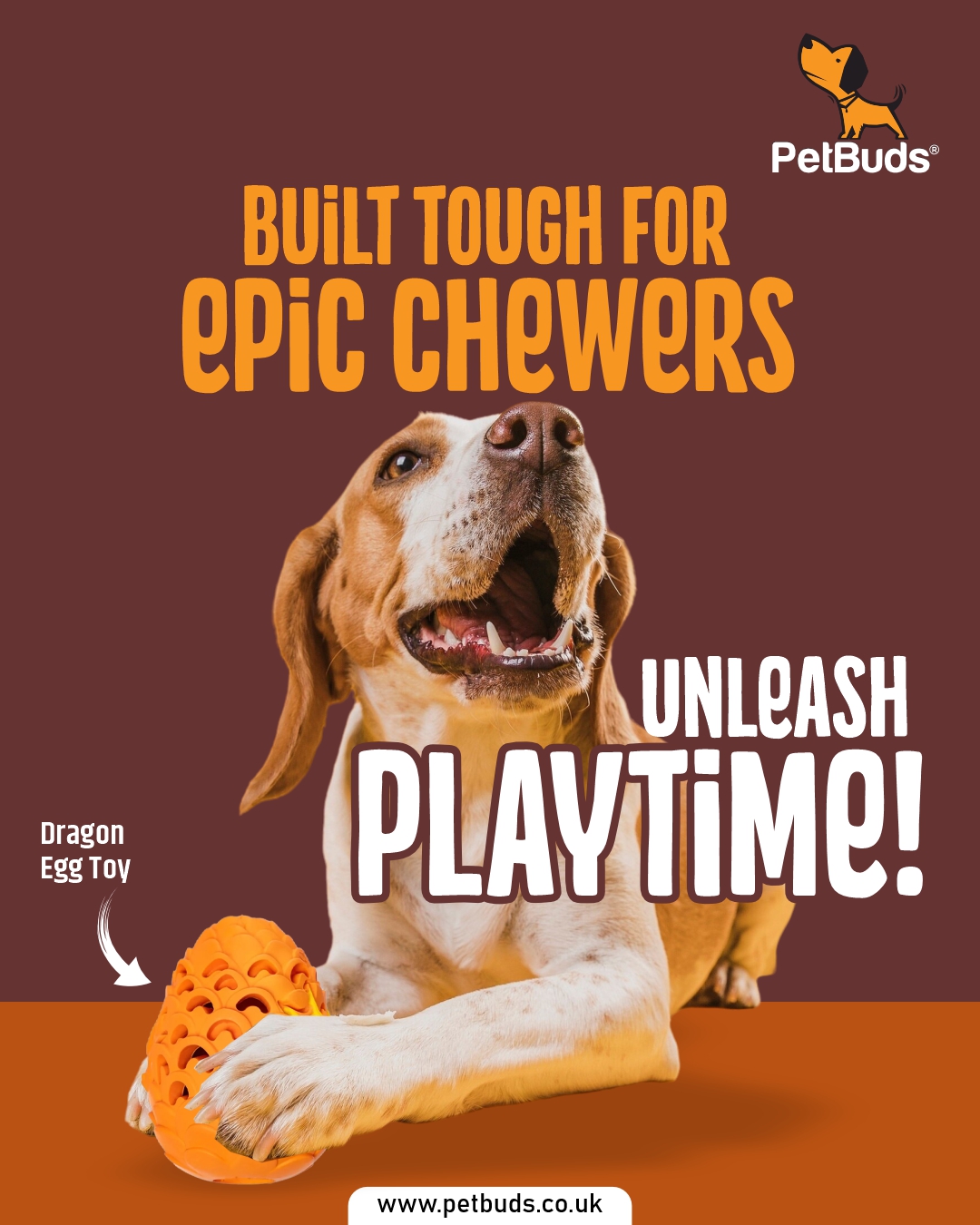 PetBudsUK - Gallery 3