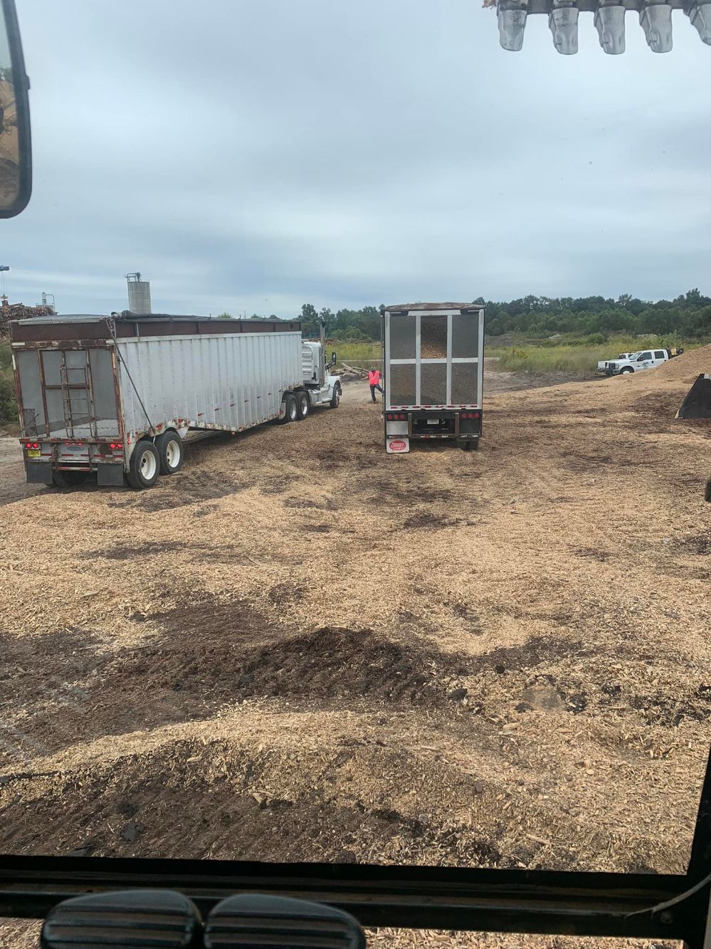 Harper's Tree and Stump Removal - Gallery 1