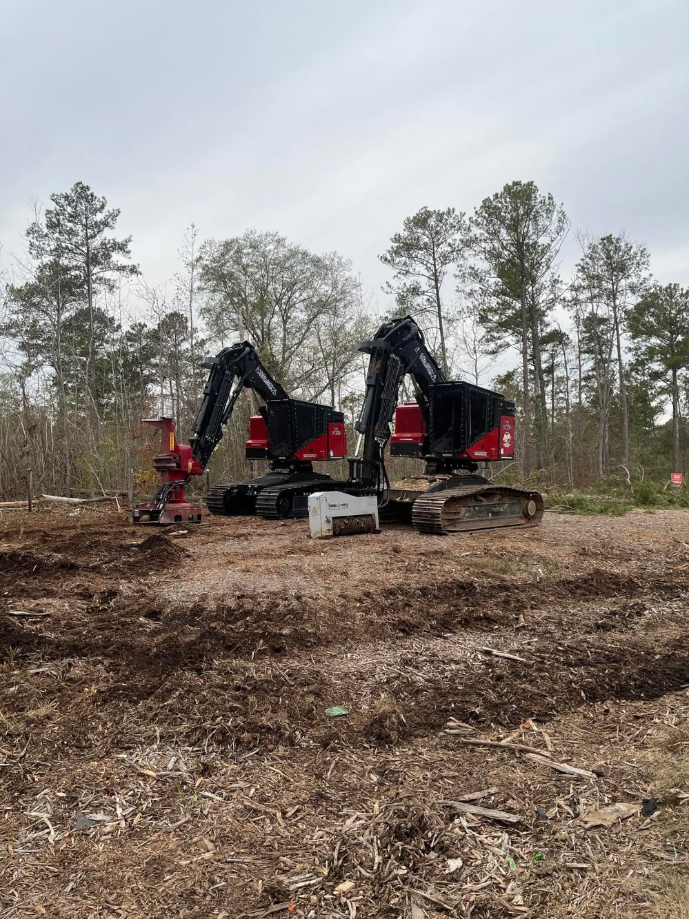 Harper's Tree and Stump Removal - Gallery 3