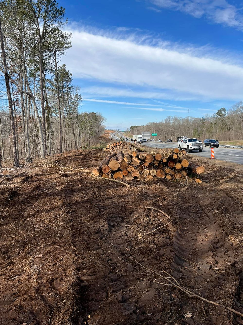 Harper's Tree and Stump Removal - Gallery 5