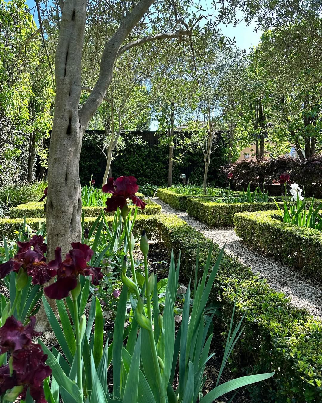 Tuscany Gardens - Gallery 4