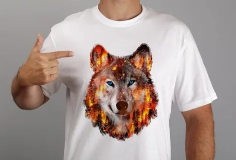 DTF Missouri - Gallery 1