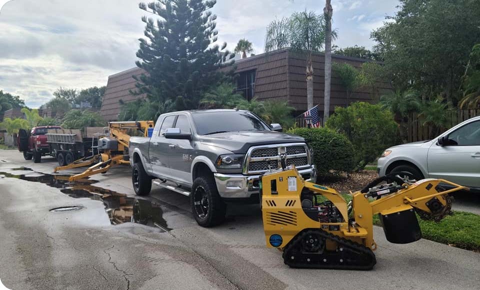 East Coast Arbor Pro Inc. - Gallery 5