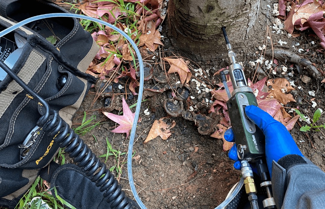 Tri-State Tree Service - Gallery 7