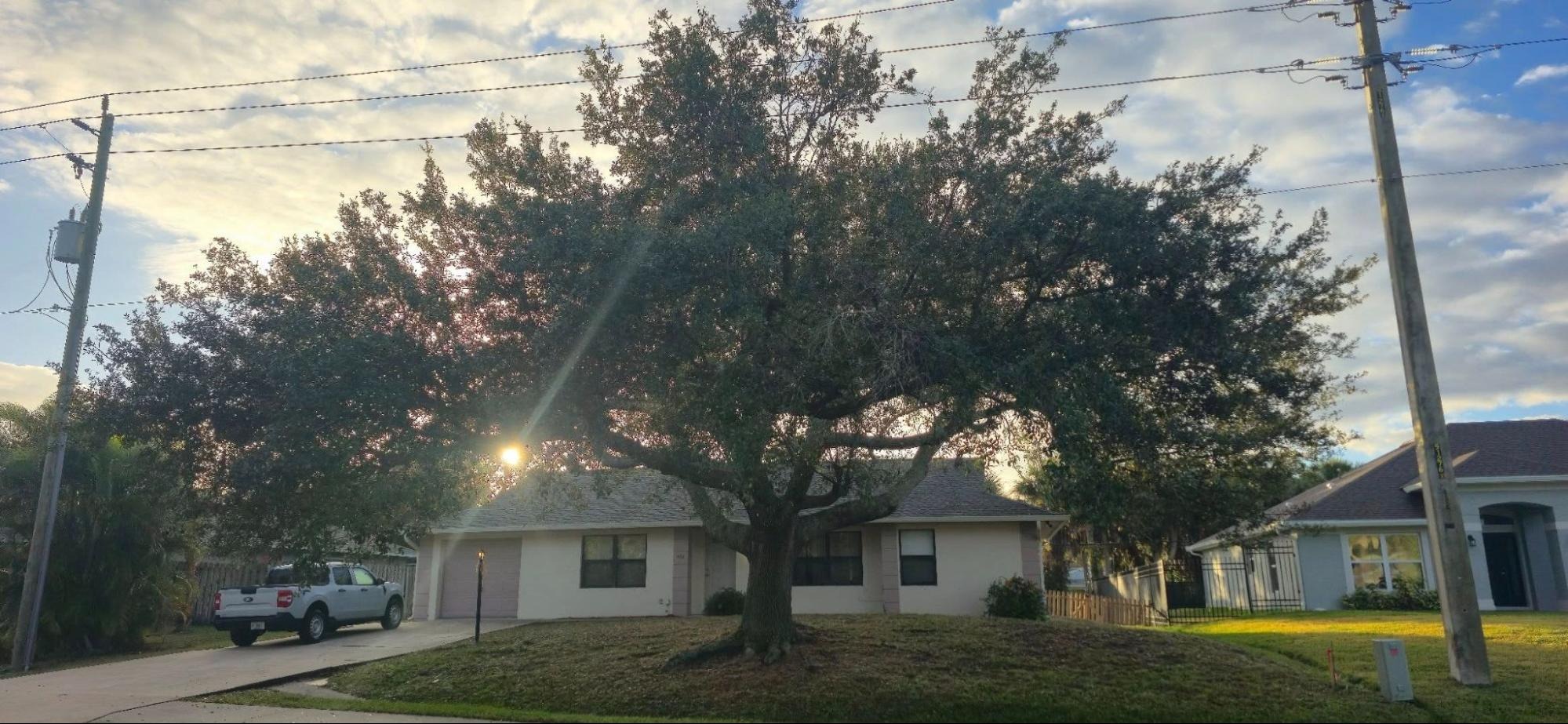 East Coast Arbor Pro Inc. - Gallery 7