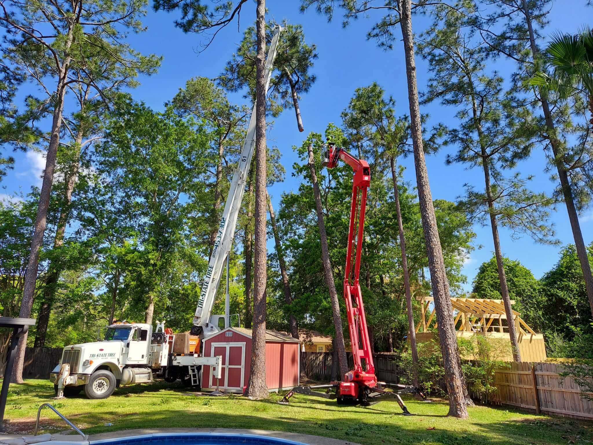 Tri-State Tree Service - Gallery 9