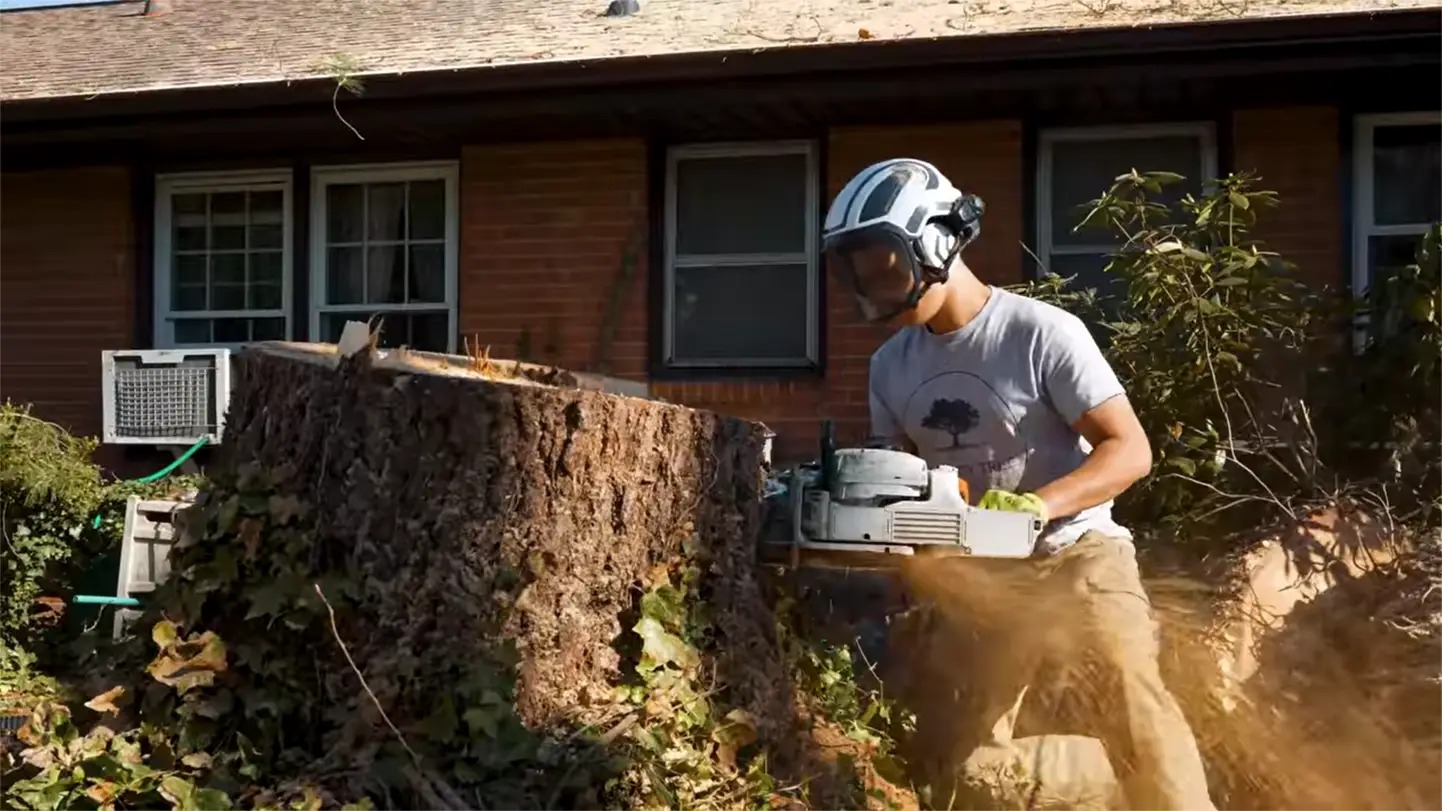 Integrity Tree Service - Gallery 8