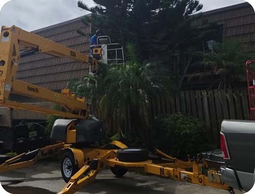 East Coast Arbor Pro Inc. - Gallery 9