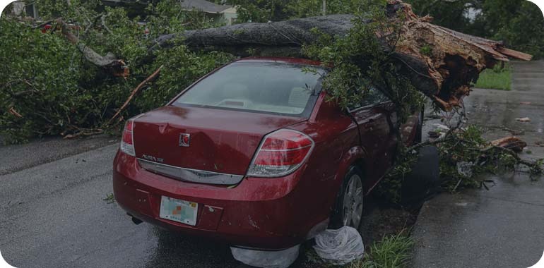 East Coast Arbor Pro Inc. - Gallery 10