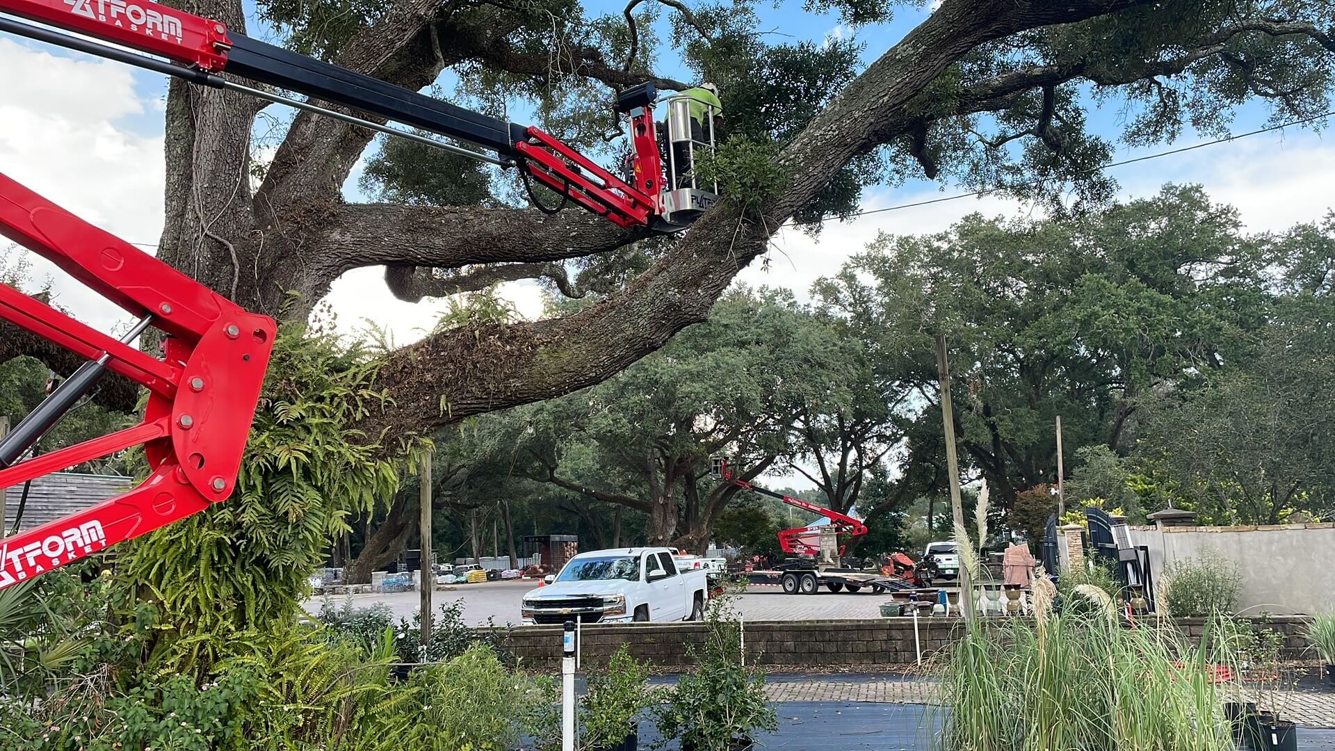 Tri-State Tree Service - Gallery 10