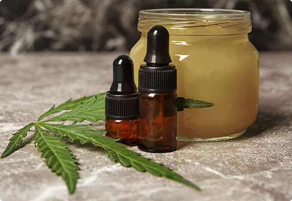 Green Therapy - Gallery 1