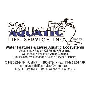custom aquarium design san diego ca - Gallery 1