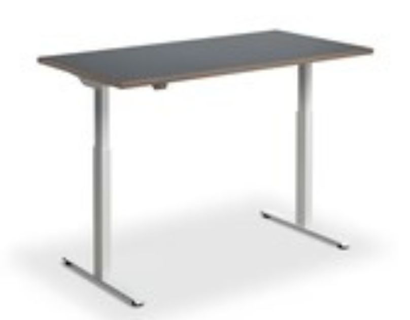 Ergo Desks - Gallery 1