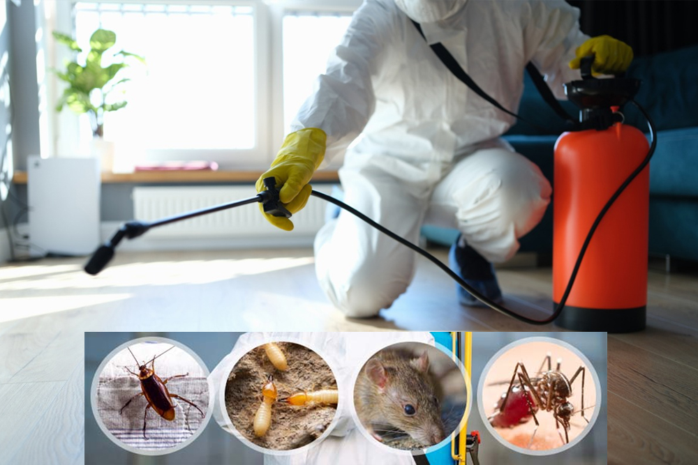 Robbin's Pest Control